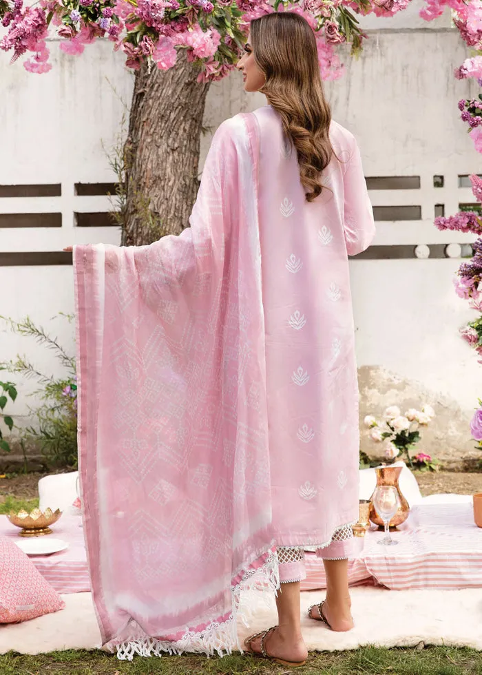 AFROZEH | RANGREZA SUMMER EDIT '23 | MAGNOLIA