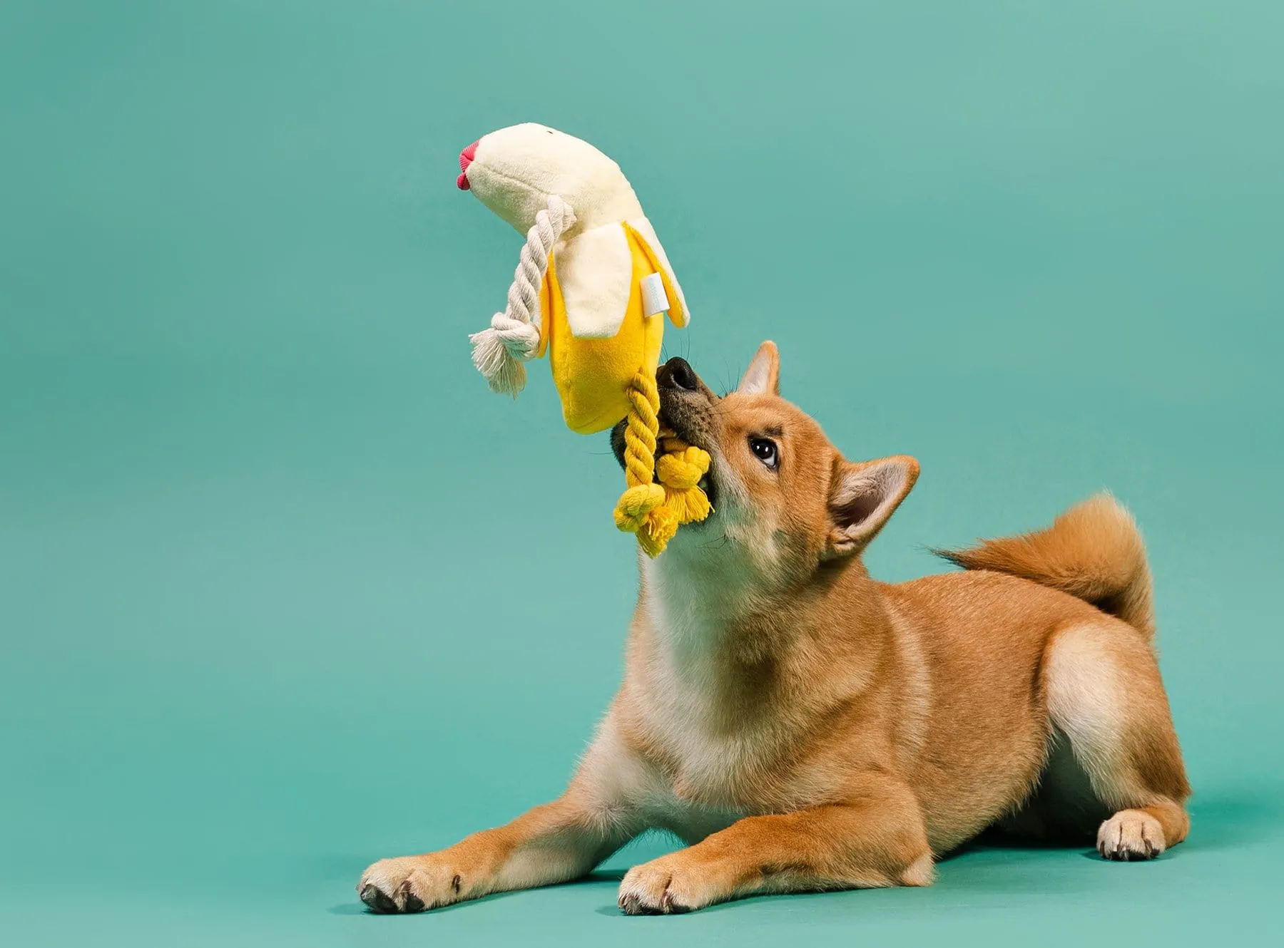 Beach Banana