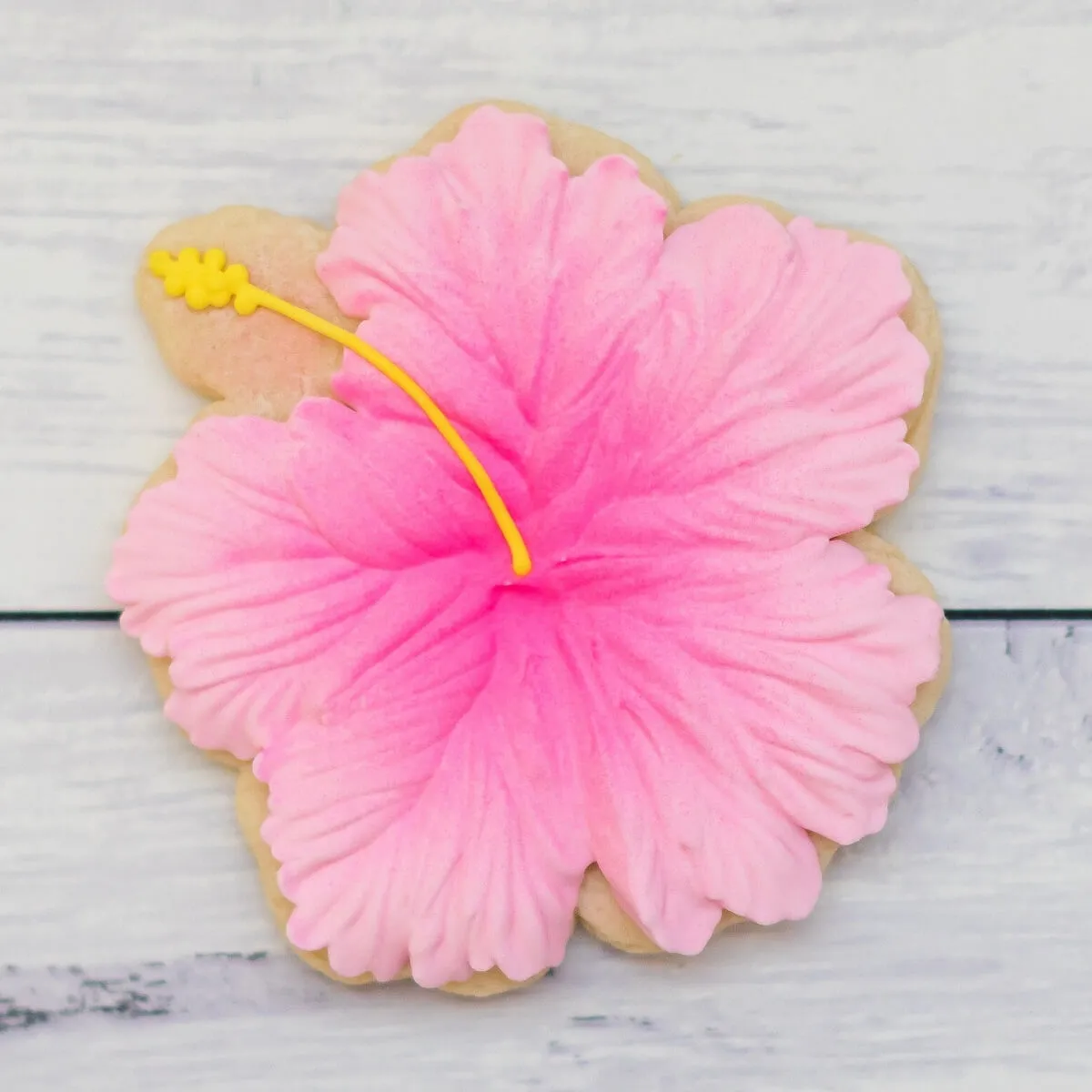 Birthday | Aloha To Another Year