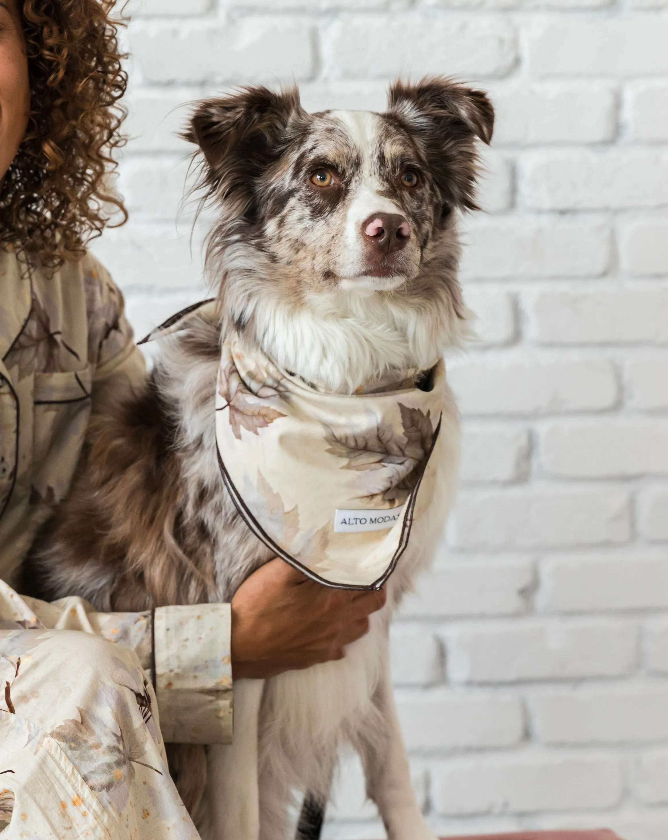 Buddy Maple Dog Bandana