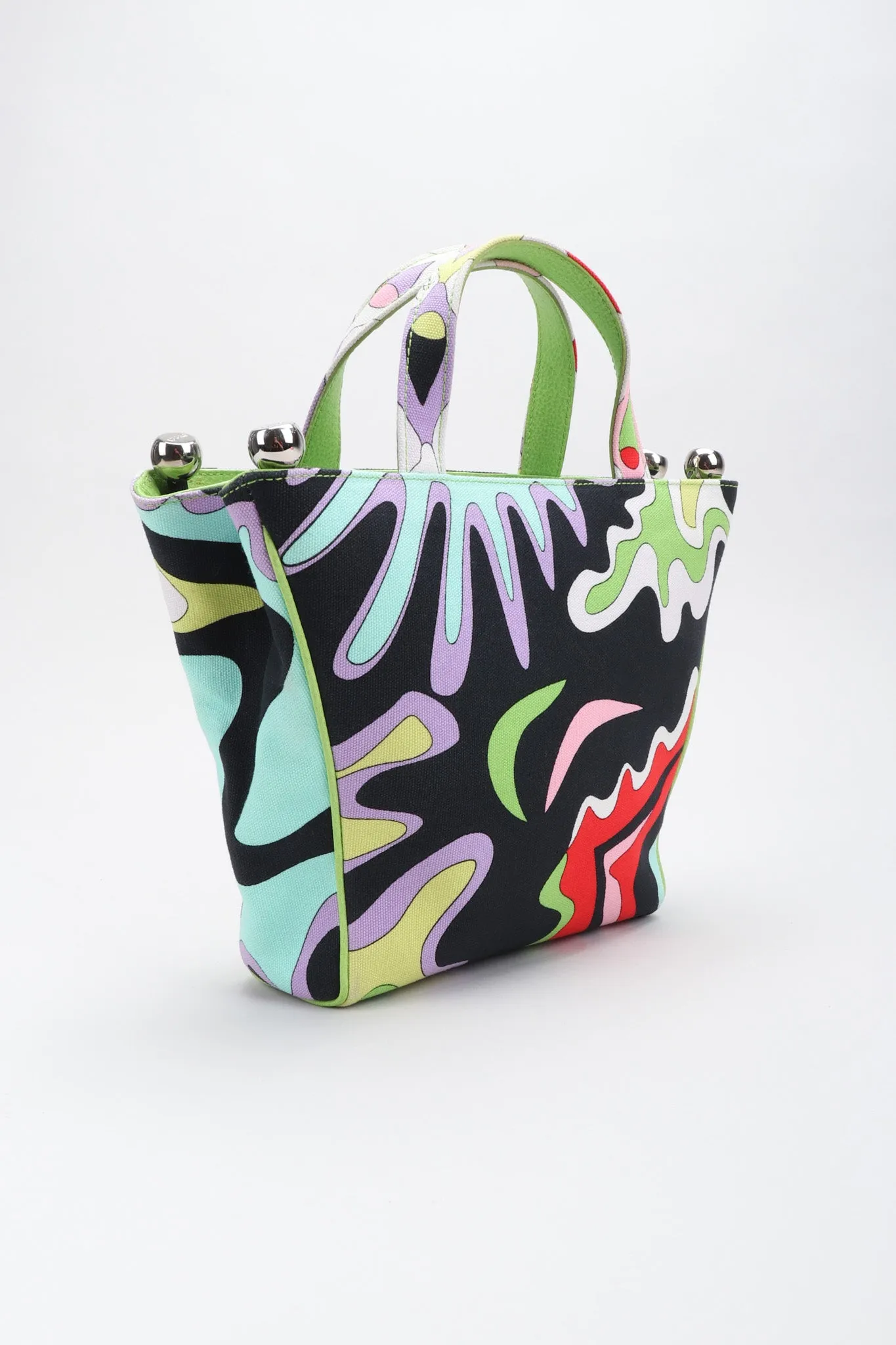 Canvas Print Mini Tote