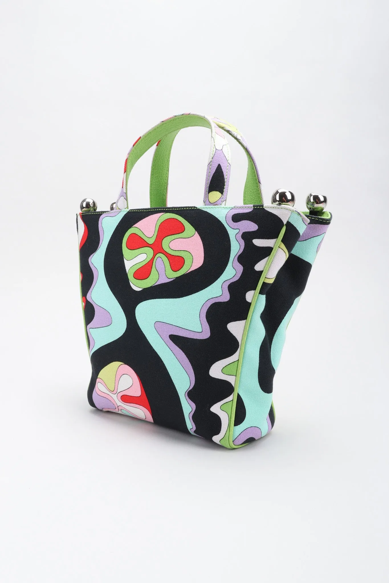 Canvas Print Mini Tote