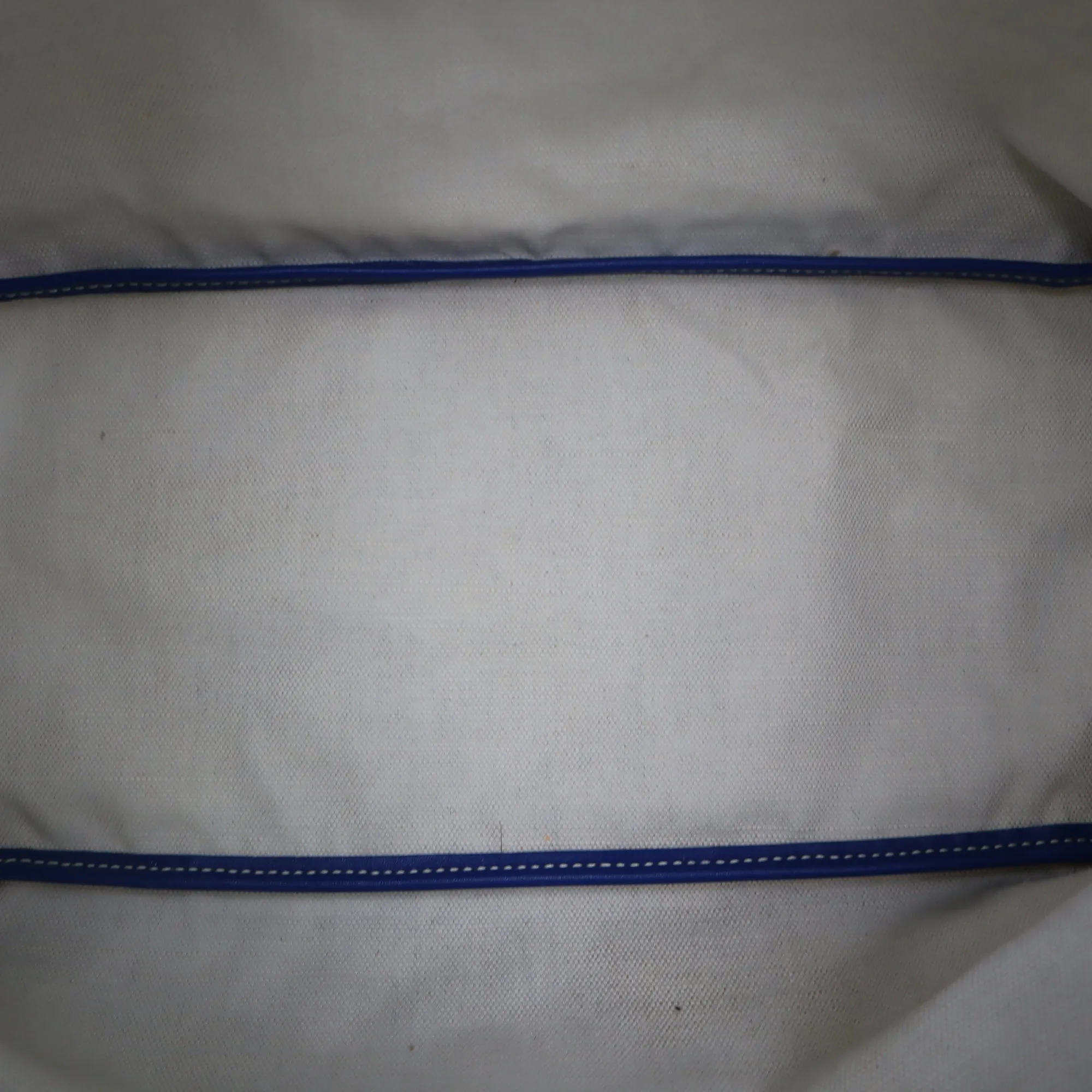 Goyard Saint Louis Goyardine Canvas PM Tote Bag