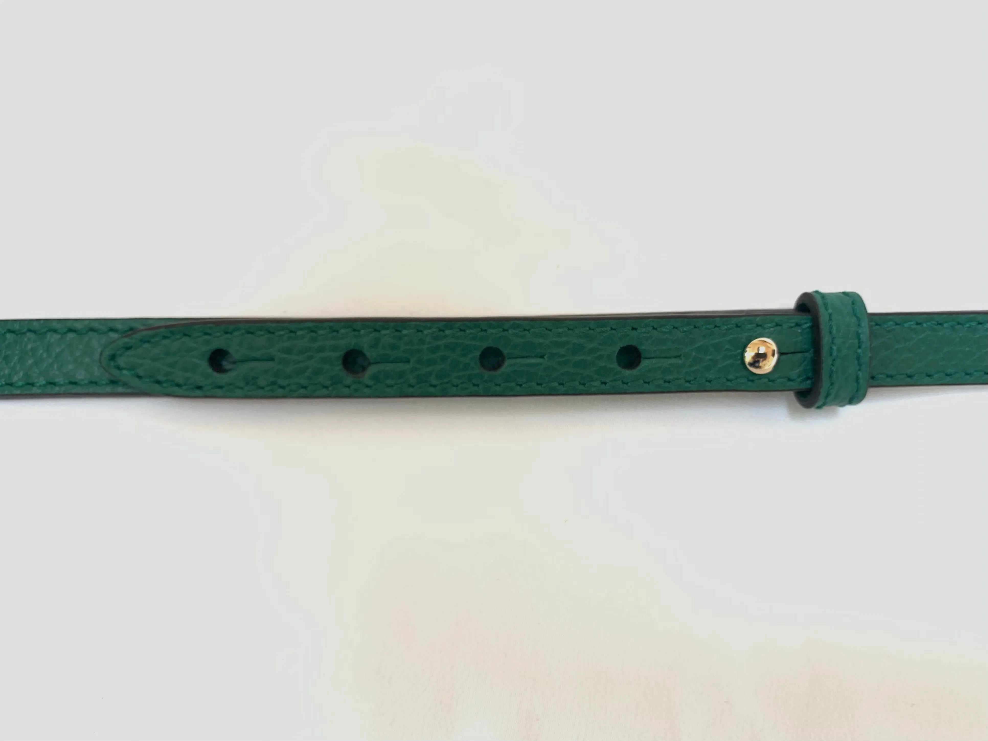 Gucci Canvas Supreme Camera Bag Emerald Green