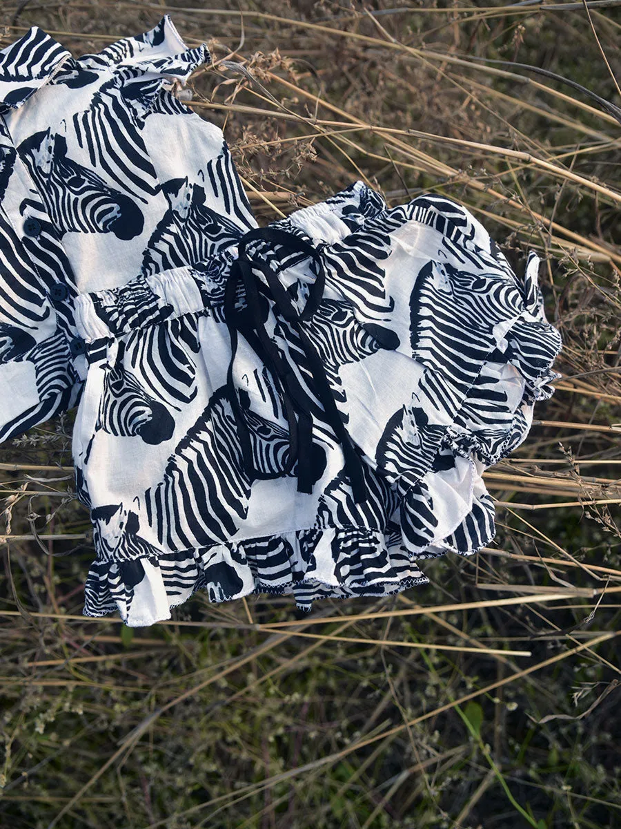Lil Zebra