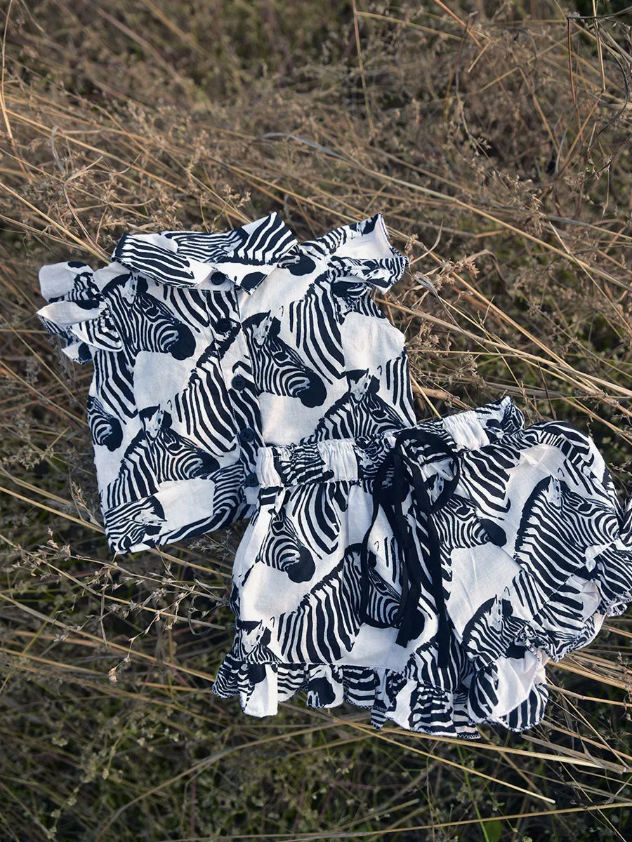 Lil Zebra