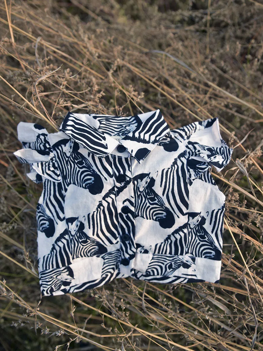 Lil Zebra