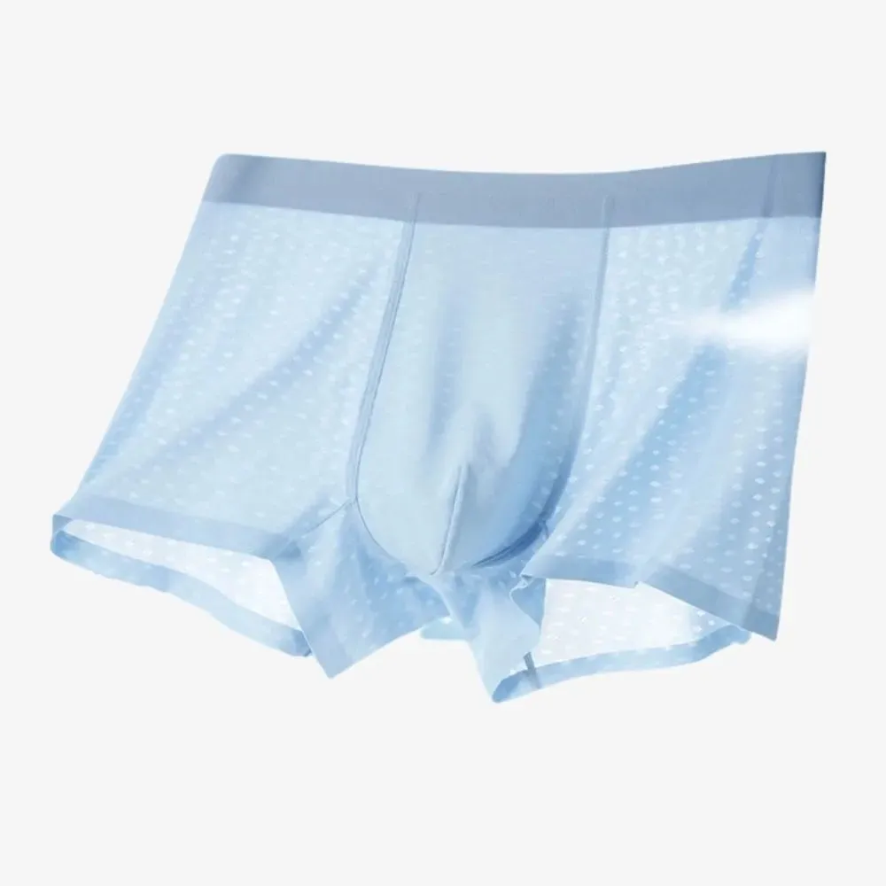 Men's Ice Silk Mesh Trunks (4-Pack) JEWYEE 6631