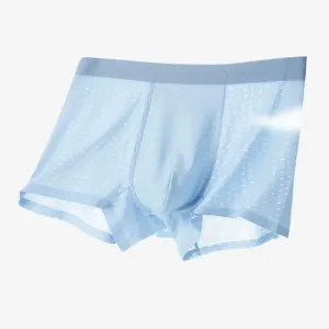 Men's Ice Silk Mesh Trunks (4-Pack) JEWYEE 6631