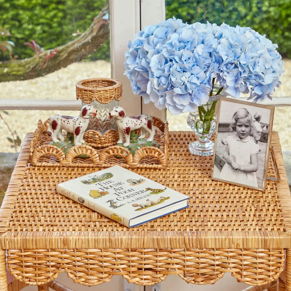 Palm Beach Rattan Table & Chair Set