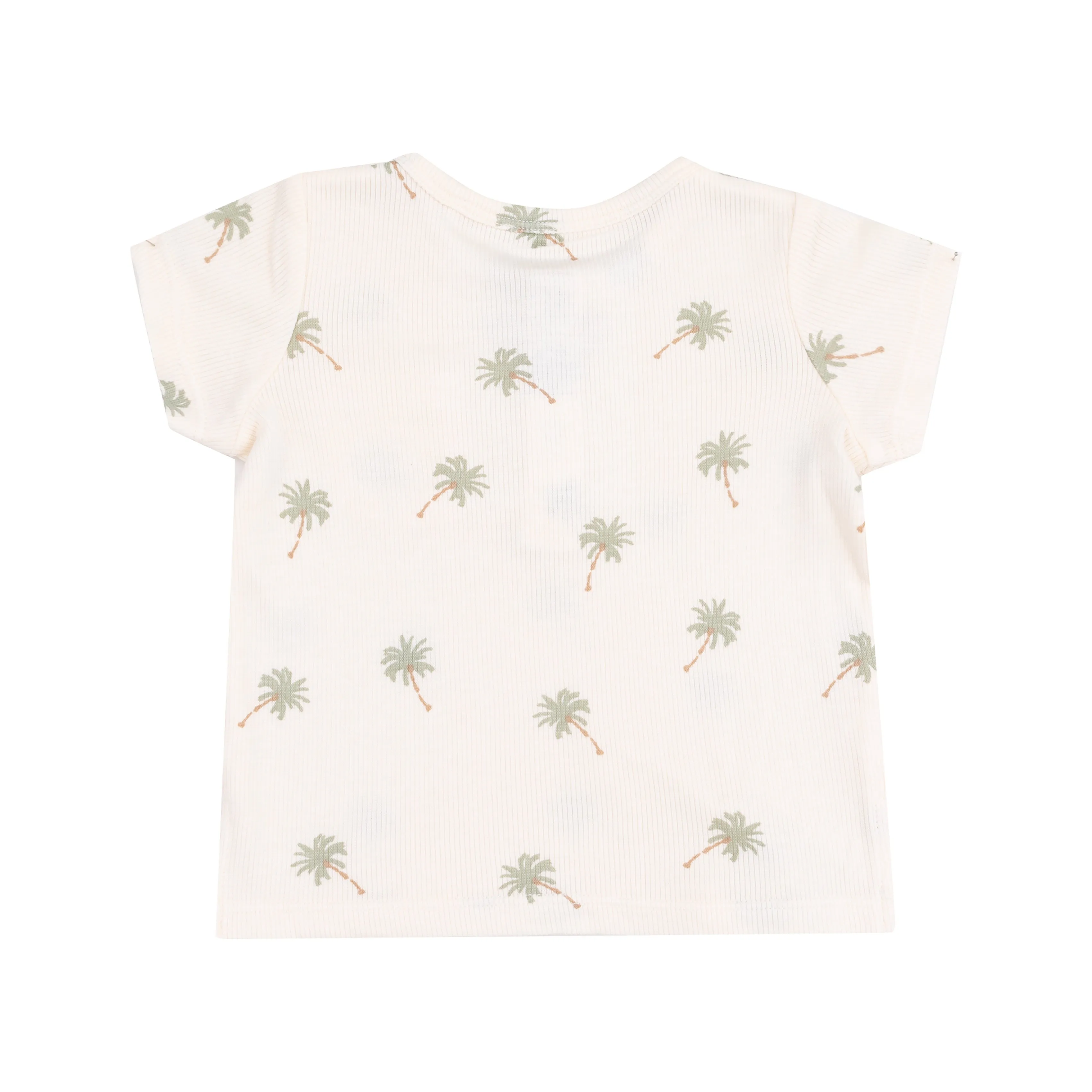 Palm Tree Perfection Set
