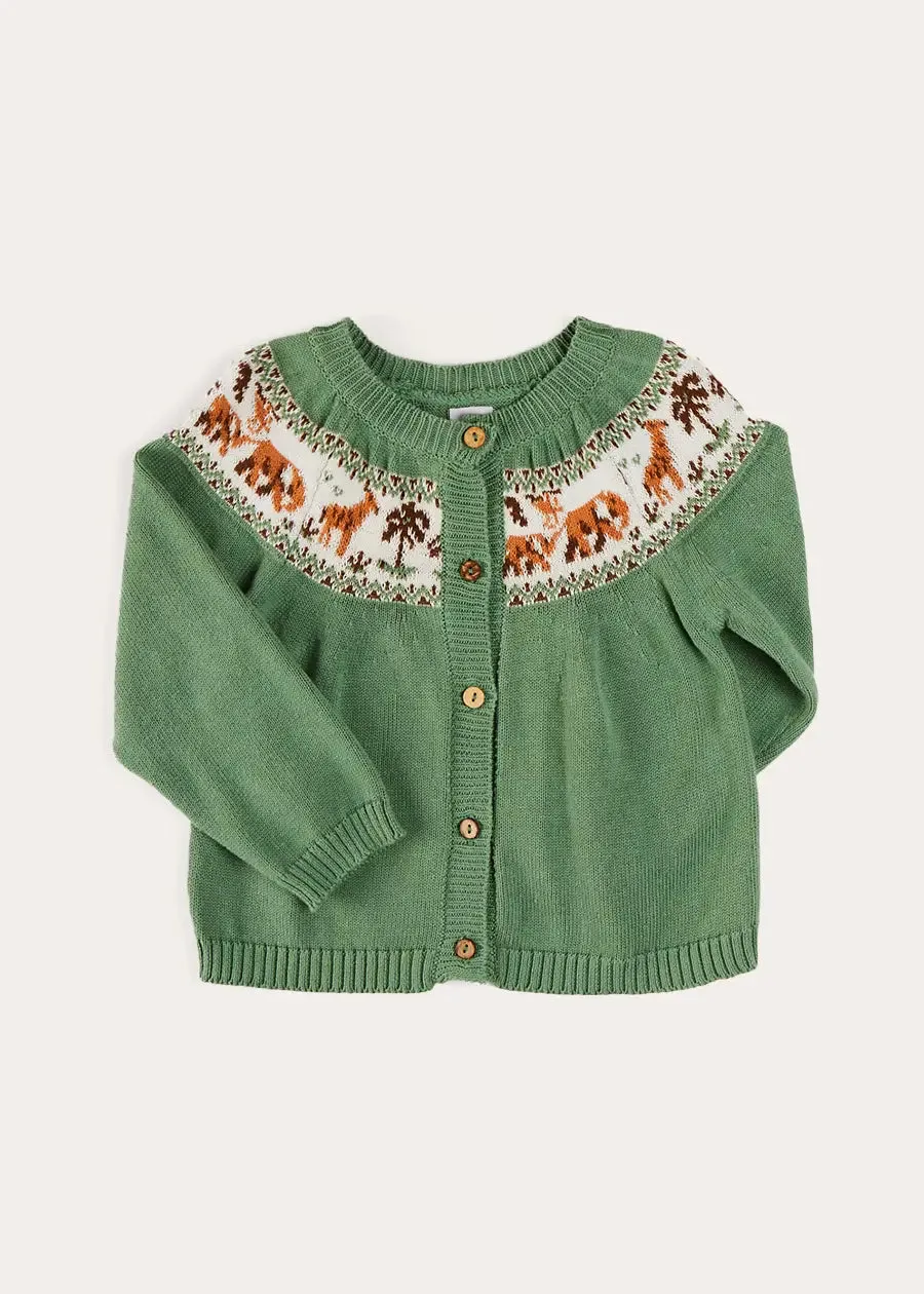 Safari Intarsia Cardigan in Green (6mths-6yrs)