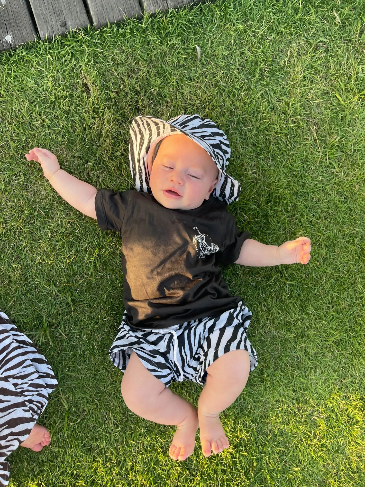Zebra Linen Shorts