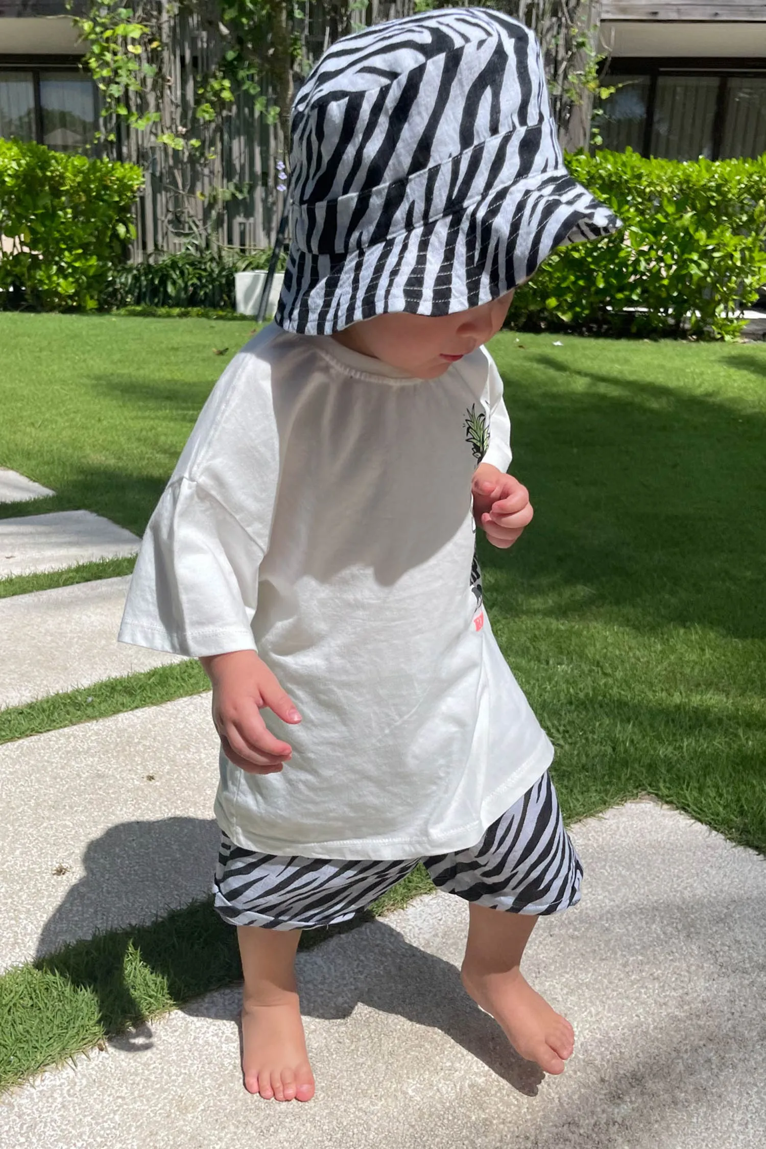 Zebra Linen Shorts